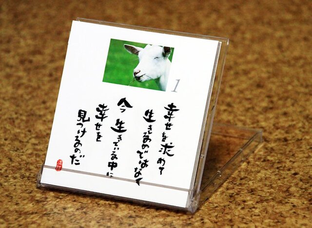 日めくりカレンダー (動物写真編)の画像1枚目