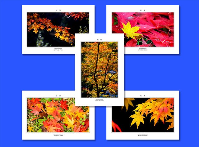 「紅葉」ポストカード5枚組の画像1枚目