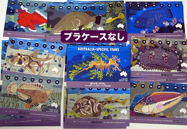 18オーストラリア固有魚カレンダー エコパック Iichi ハンドメイド クラフト作品 手仕事品の通販