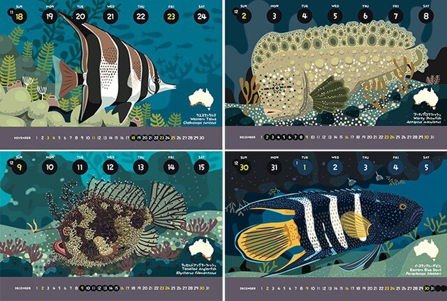 18オーストラリア固有魚カレンダー エコパック Iichi ハンドメイド クラフト作品 手仕事品の通販