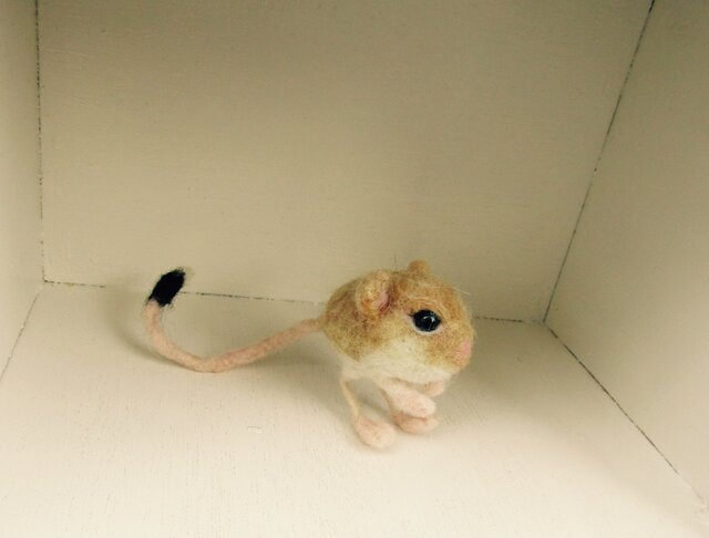 トビネズミ ピグミージェルボア Ⅱ | iichi 日々の暮らしを心地よく