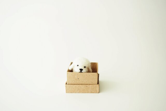 <約3㎝シリーズ>プードルプーちゃん(white)の画像1枚目
