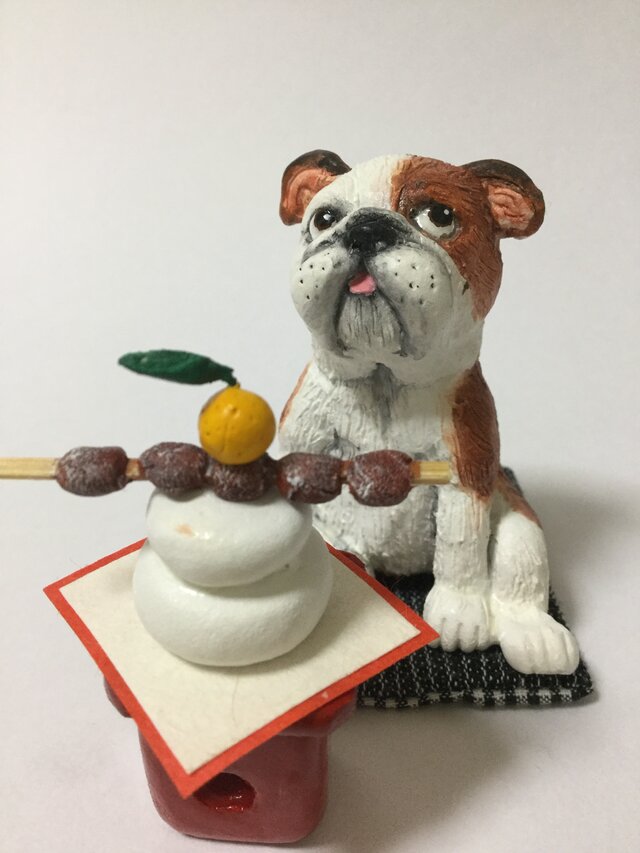 2018戌 bulldog(B)の画像1枚目