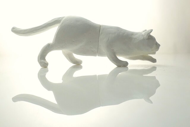 〝伸び猫・C”の画像1枚目