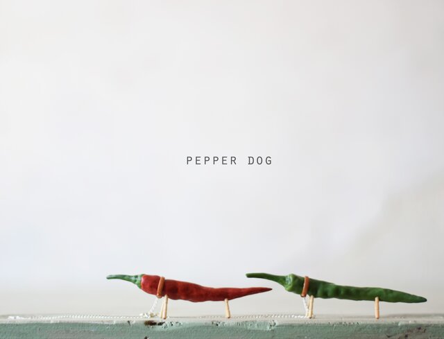 Pepper dog(とうがらし犬)の画像1枚目