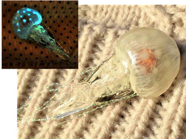 蓄光☆小さなクラゲブローチ(オーダーメイド)の画像1枚目