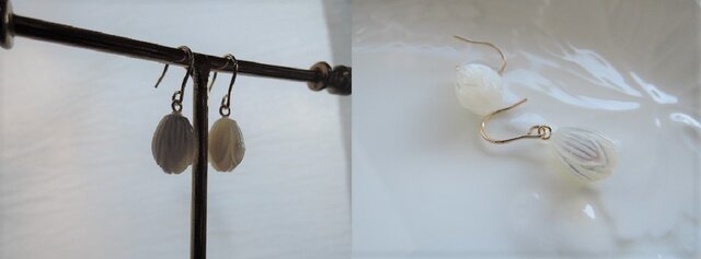 1110）ぷっくりとした、とても愛らしい小さなお花のつぼみ