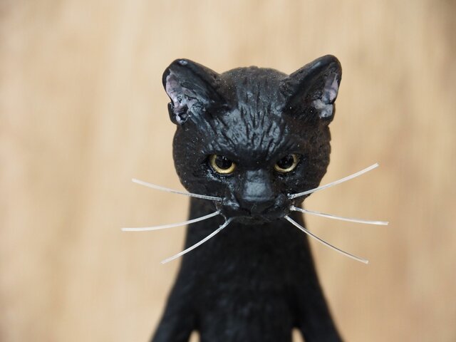 The Cat 【クロネコ】の画像1枚目
