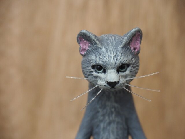 The Cat 【ロシアンブルー】の画像1枚目