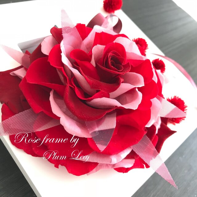 紅薔薇のドレス 大輪ローズ フレームの画像1枚目