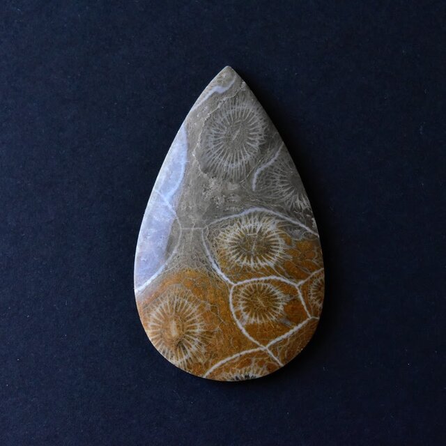 モロッコフォッシル・コーラル Antique モロッコ産 46.5cts./ 化石珊瑚・ルースの画像1枚目