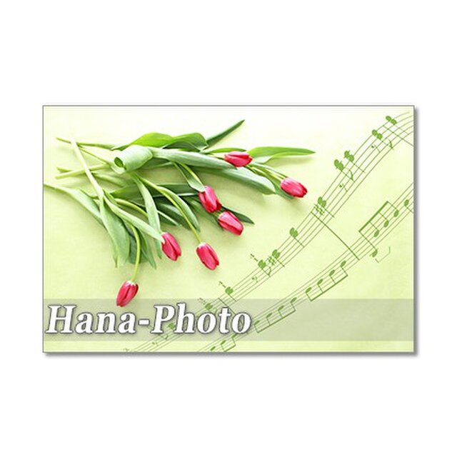 1285）楽譜と花：春の花 ポストカード５枚セット | iichi 日々の暮らし 