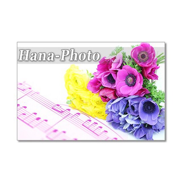 1285）楽譜と花：春の花 ポストカード５枚セット | iichi 日々の暮らし 