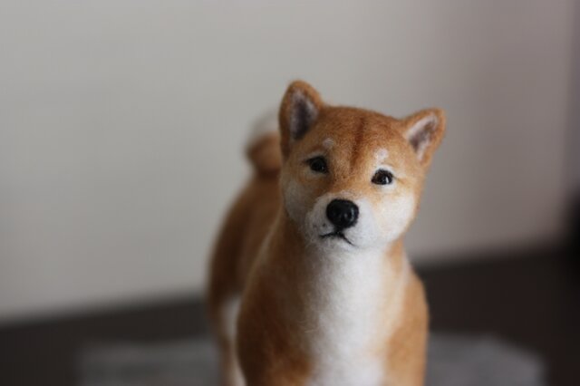 羊毛フェルト リアル柴犬 Shiba Inu ・・・ | iichi 日々の暮らしを