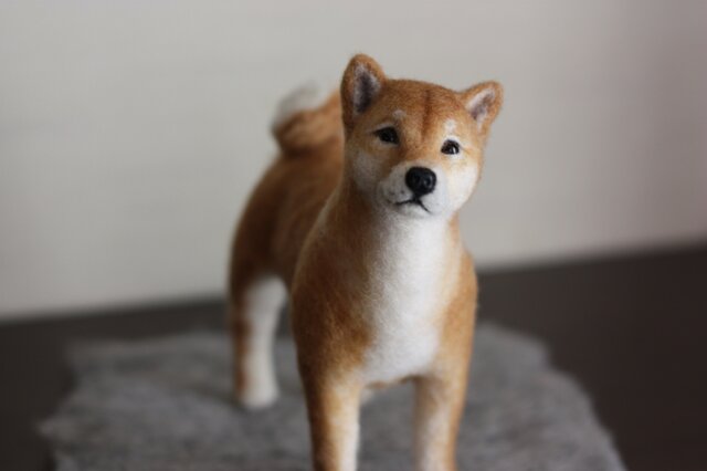 羊毛フェルト☆柴犬立ち姿☆ハンドメイド 羊毛フェルト リアル柴犬 Shiba Inu ・・・ | iichi 日々の暮らしを