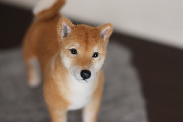 羊毛フェルト♡おねんねする柴犬 羊毛フェルト リアル柴犬 Shiba Inu ・・・ | iichi 日々の暮らしを