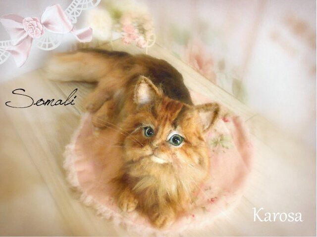 Sold out ソマリ 猫 Lサイズ 羊毛フェルト リアル ねこ ネコの画像1枚目