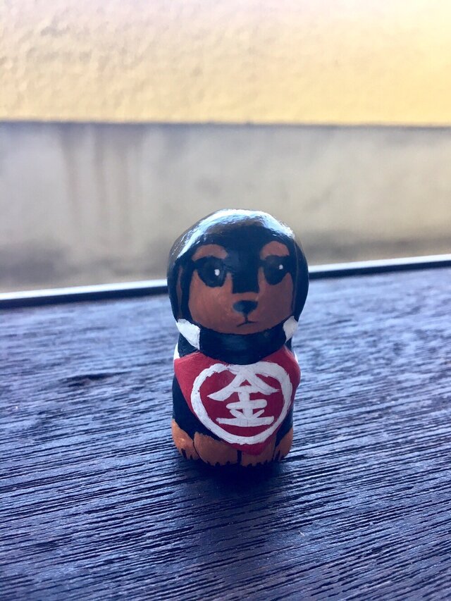 五月わんこ金太郎ちゃんの画像1枚目