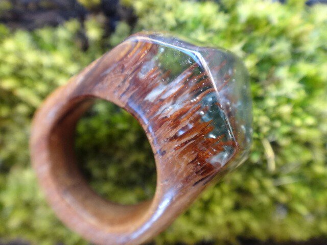 Wood & 木の指輪 針葉樹の森の画像1枚目