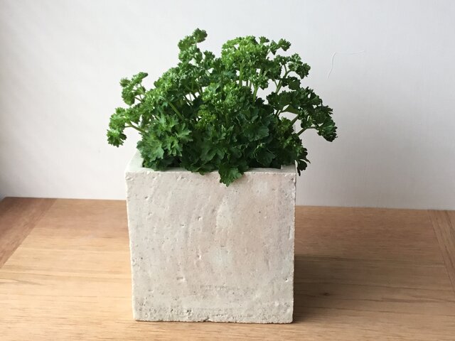 フラワーベース 白の画像1枚目