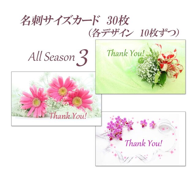 ALL SEASON 3 名刺サイズサンキューカード 30枚の画像1枚目