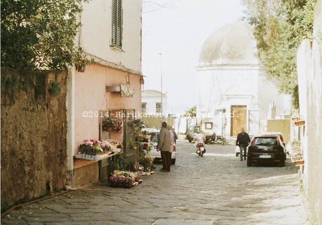 Procida / Italy 「小さな島のお花屋さん」 ポストカード2枚セットの画像1枚目