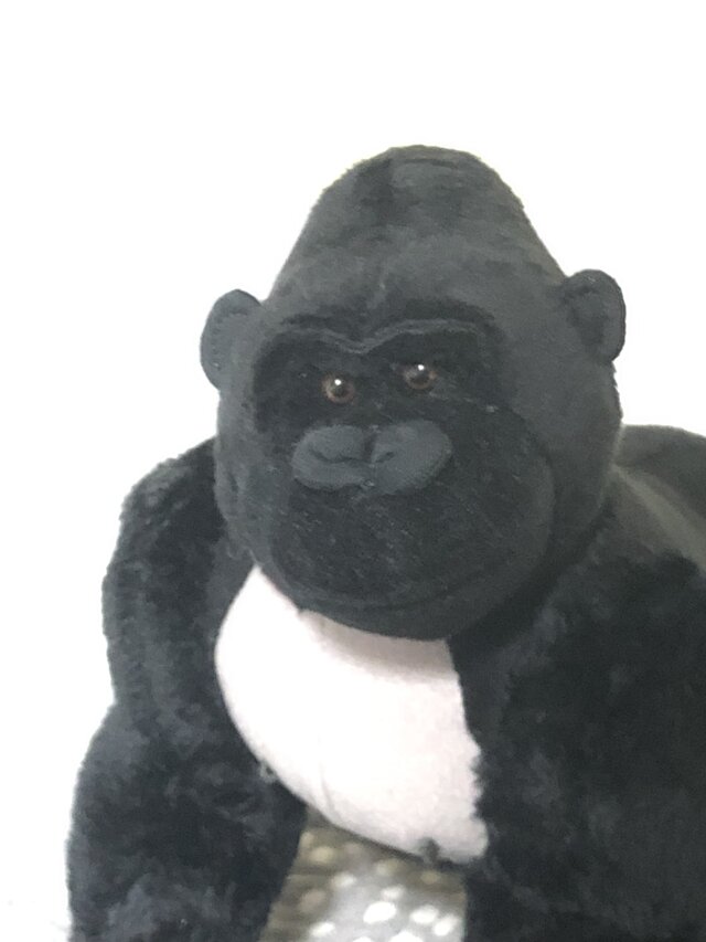ちょいワルゴリラの画像1枚目