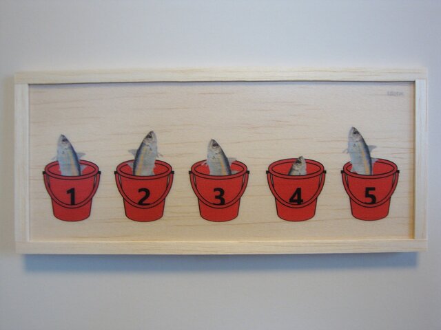fish in the red bucketの画像1枚目