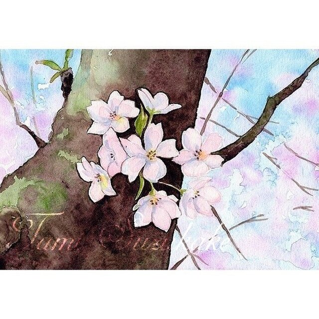 水彩画・原画「桜の花」 | iichi 日々の暮らしを心地よくする 