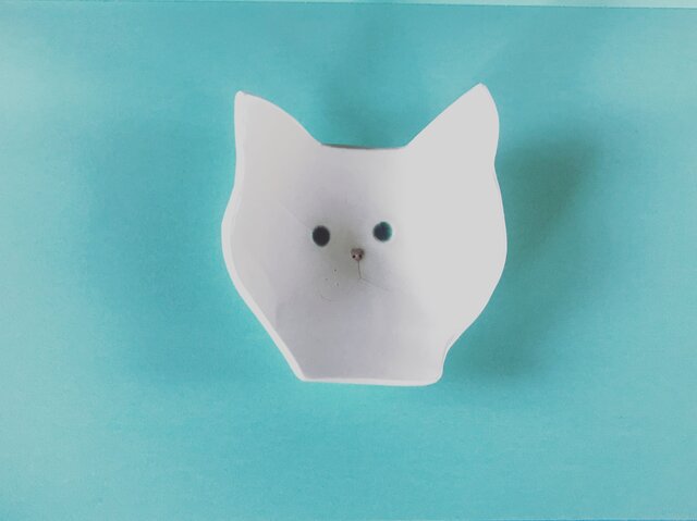 ご近所のねこの画像1枚目