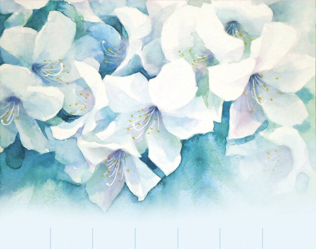 水彩画一筆箋122「白つつじ」25枚 | iichi 日々の暮らしを