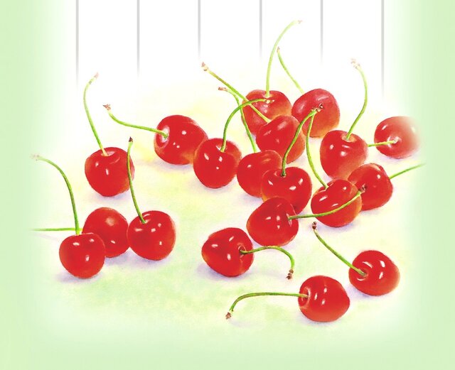 さくらんぼページ さくらんぼ 桜桃 サクランボ