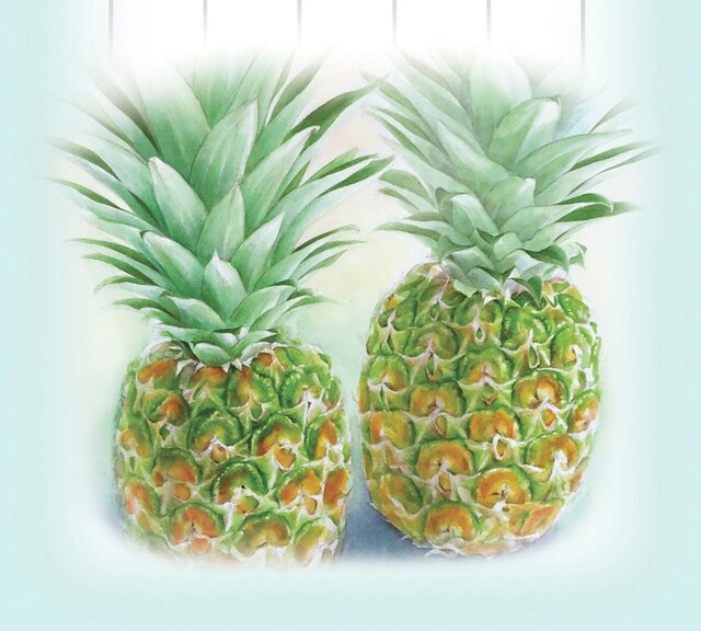 水彩画一筆箋206「パイナップル」25枚 | iichi 日々の暮らしを