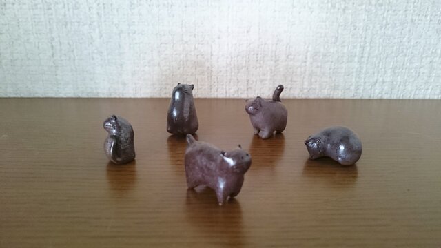 5匹の仲よし豆猫たちの画像1枚目