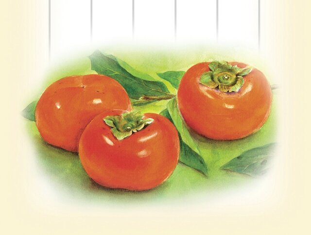 水彩画一筆箋207「柿」25枚 | iichi 日々の暮らしを心地よくする