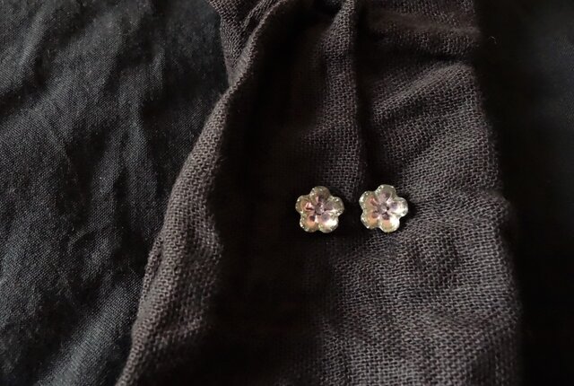 春 ノ 花の画像1枚目