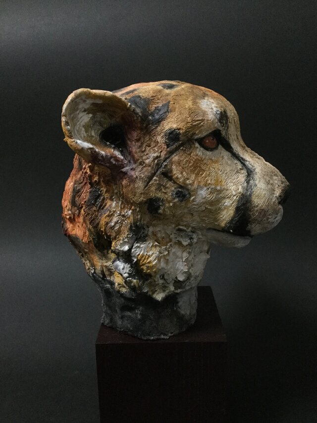 Cheetahの画像1枚目