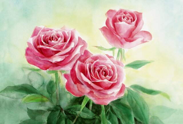 ☆ポストカード3枚セット☆101「Roses」☆の画像1枚目