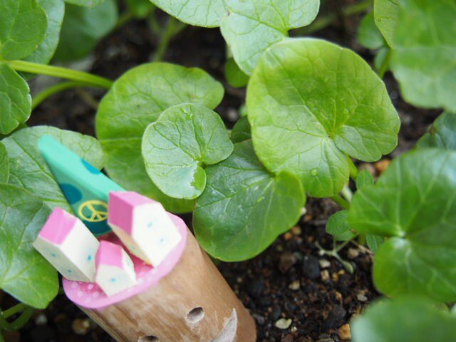 painted driftwood art 平和が生まれる木がある小さな家並みの画像1枚目