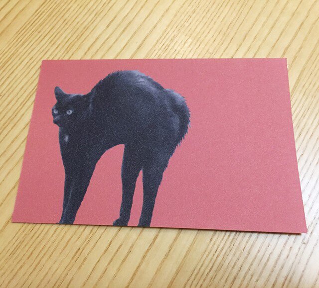 ネコポストカード 黒猫 クロネコの画像1枚目