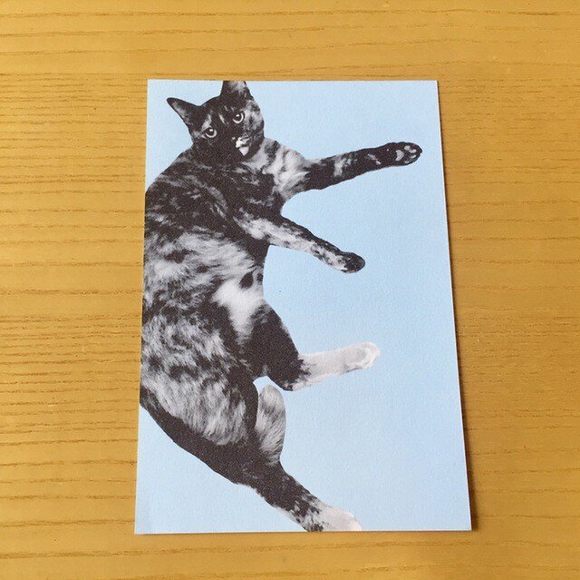 ネコポストカード ねころびサビ猫の画像1枚目