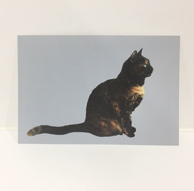 横をむくサビ猫ポストカードの画像1枚目