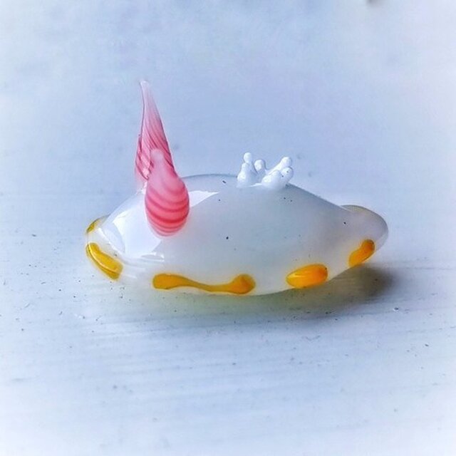ガラスのシラユキモドキウミウシの画像1枚目