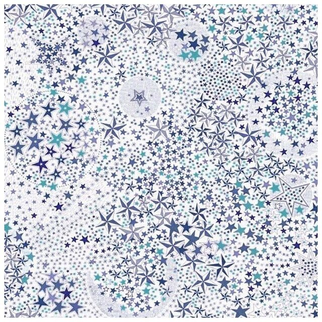 Yさまオーダー Liberty:adelajda スカート&フレンチスリーブブラウスの画像1枚目