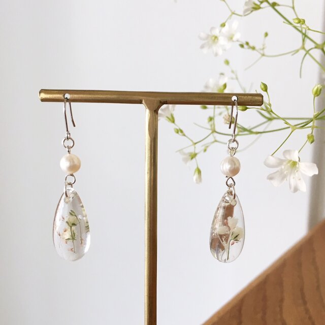 雫のかすみ草&淡水パール・ピアス/イヤリング (Silver)vol.2の画像1枚目
