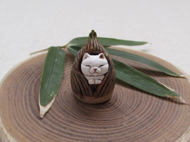 小さな筍猫の画像1枚目
