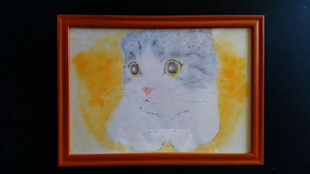 「目を合わさない…怪しい…。」の画像1枚目