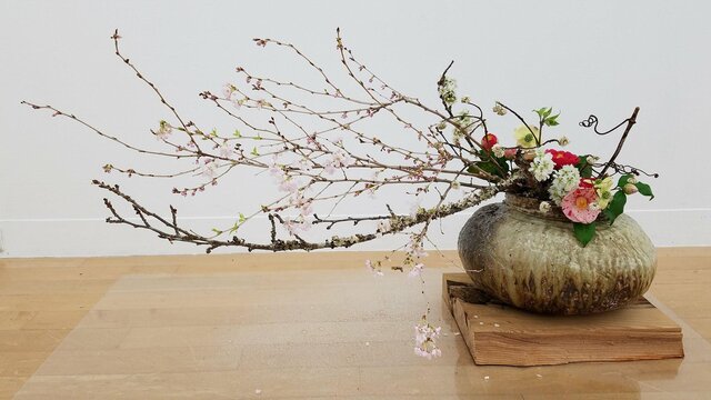 ポストカード 「sakura 」の画像1枚目