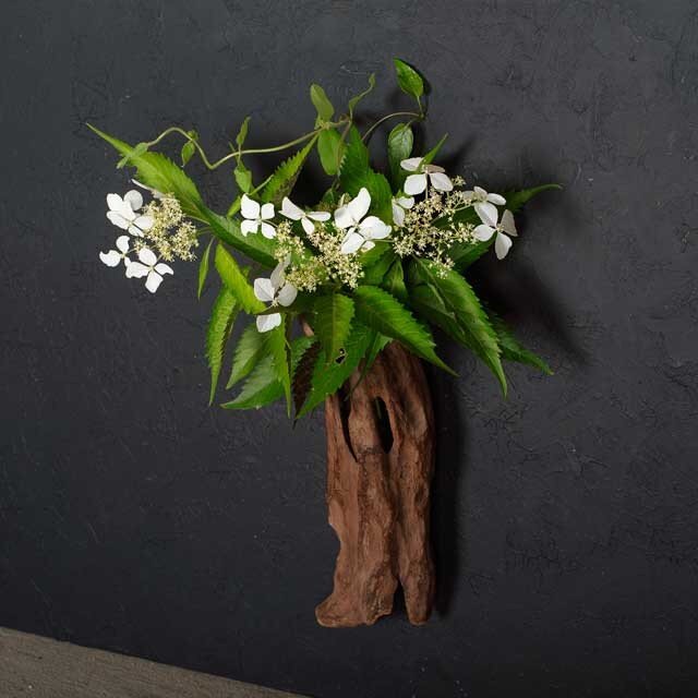 壁掛け流木の花器、フラワーベース、12の画像1枚目
