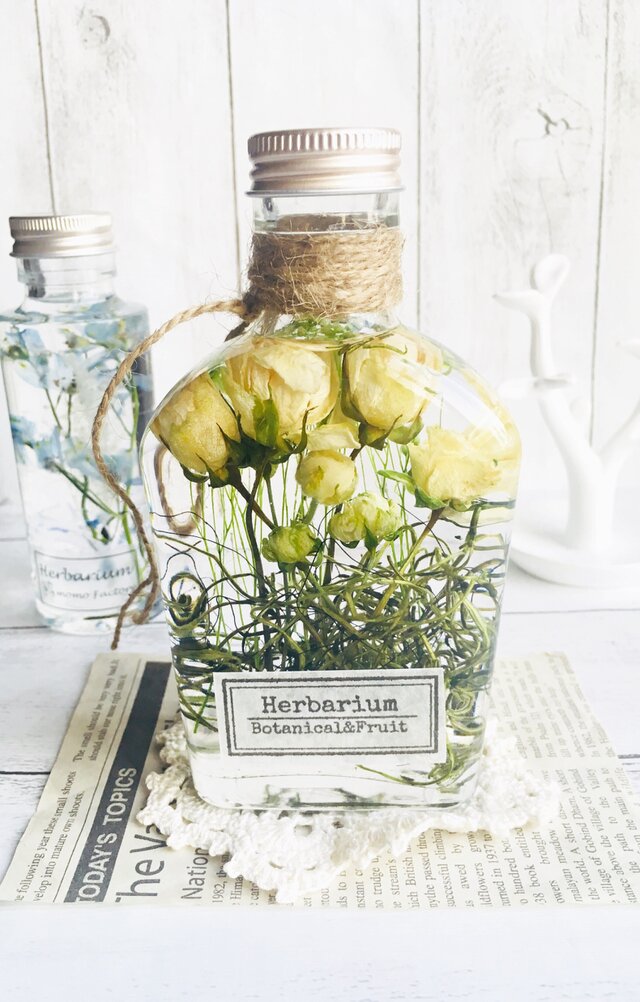 ハーバリウム   Rose